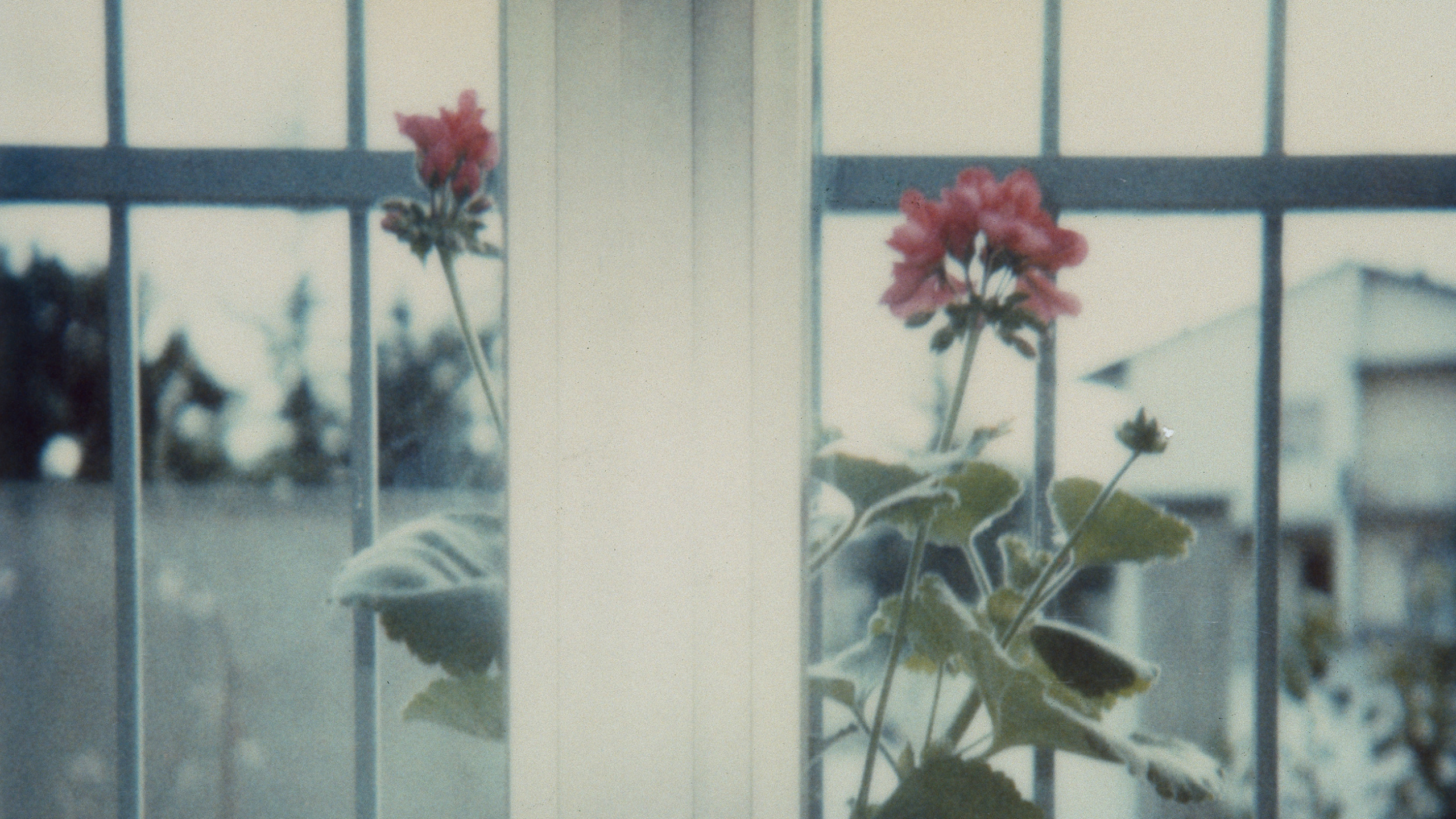 Luigi Ghirri, Modena (1980), detail. Courtesy Luigi Ghirri Foundation