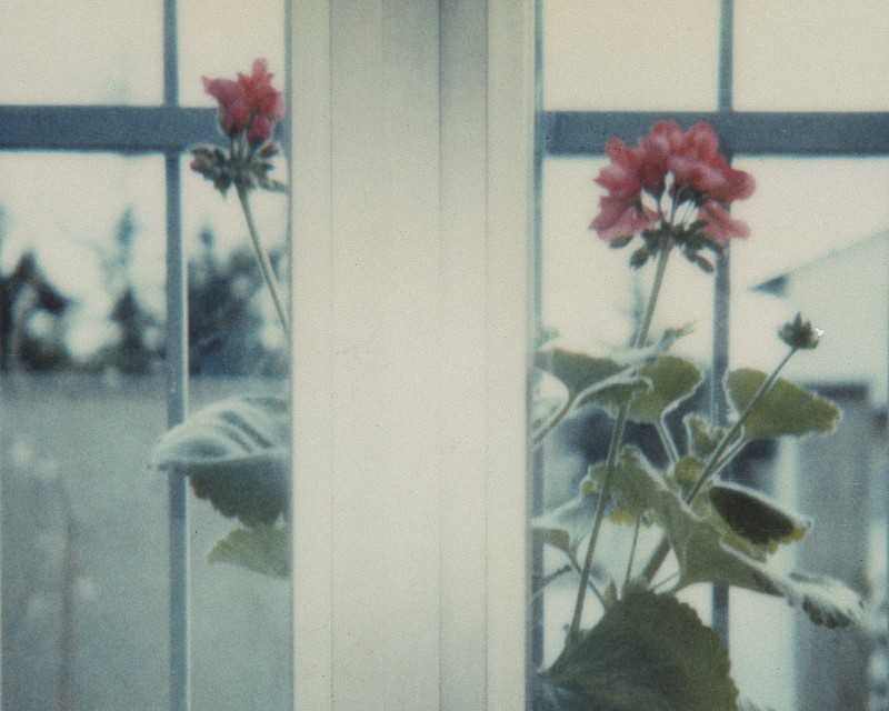 Luigi Ghirri, Modena (1980), detail. Courtesy Luigi Ghirri Foundation