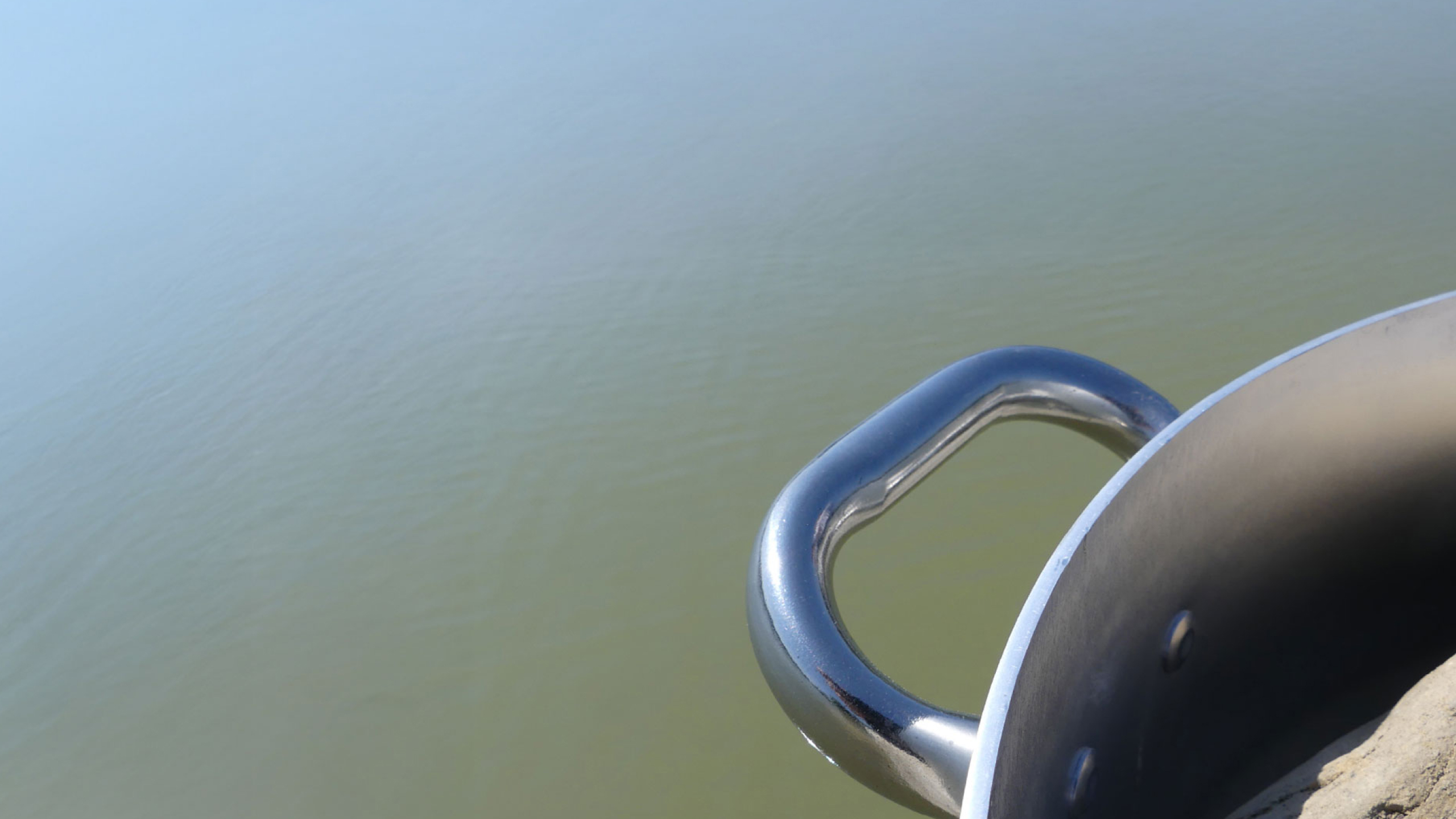 Oasi WWF Stagni di Focognano