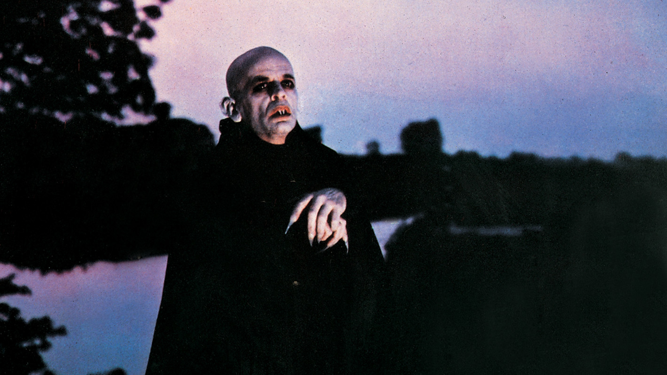 Nosferatu, Phantom der Nacht by Werner Herzog