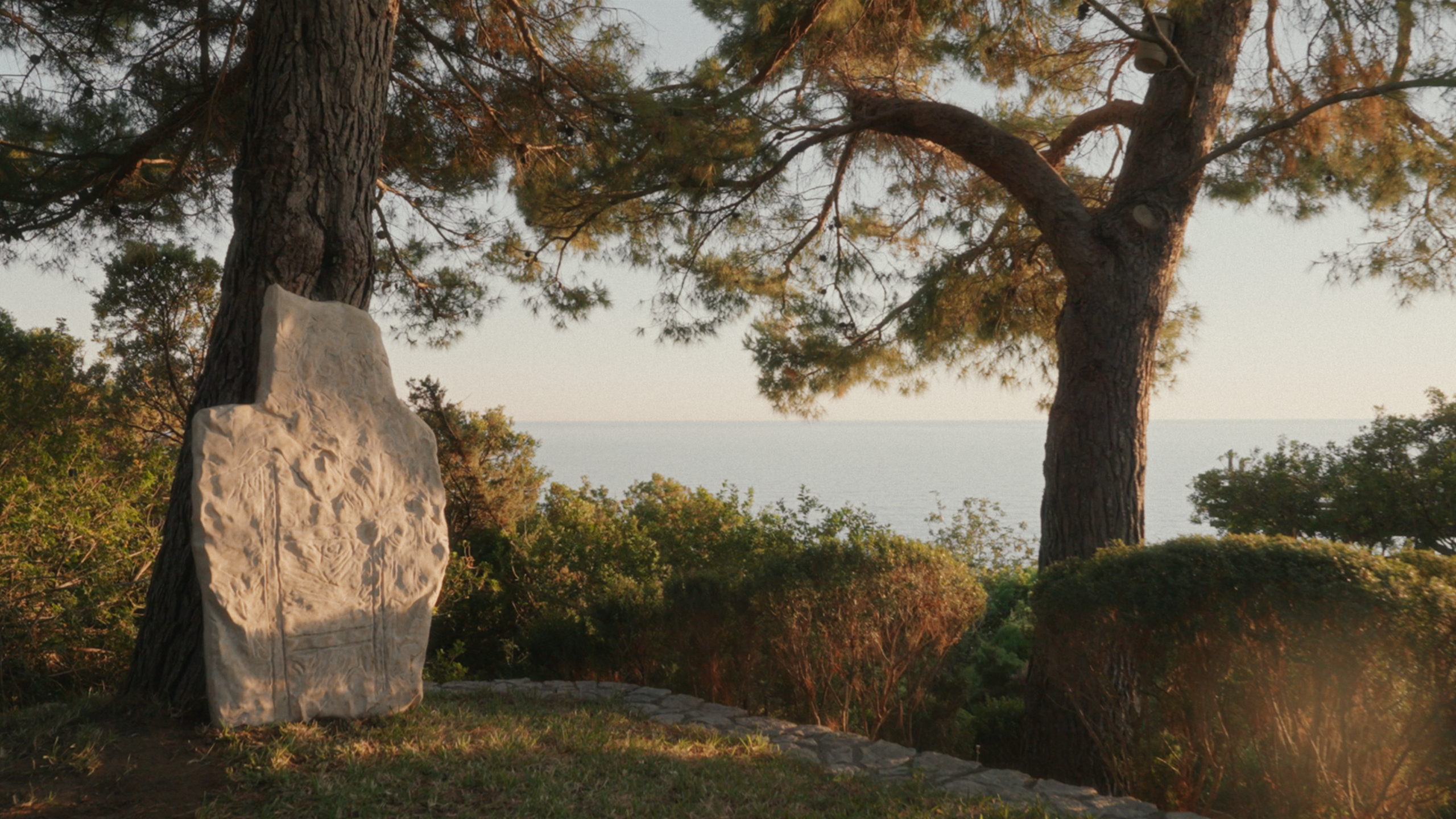 Marco Bagnoli. Radici nel cielo (2025). Still dal film