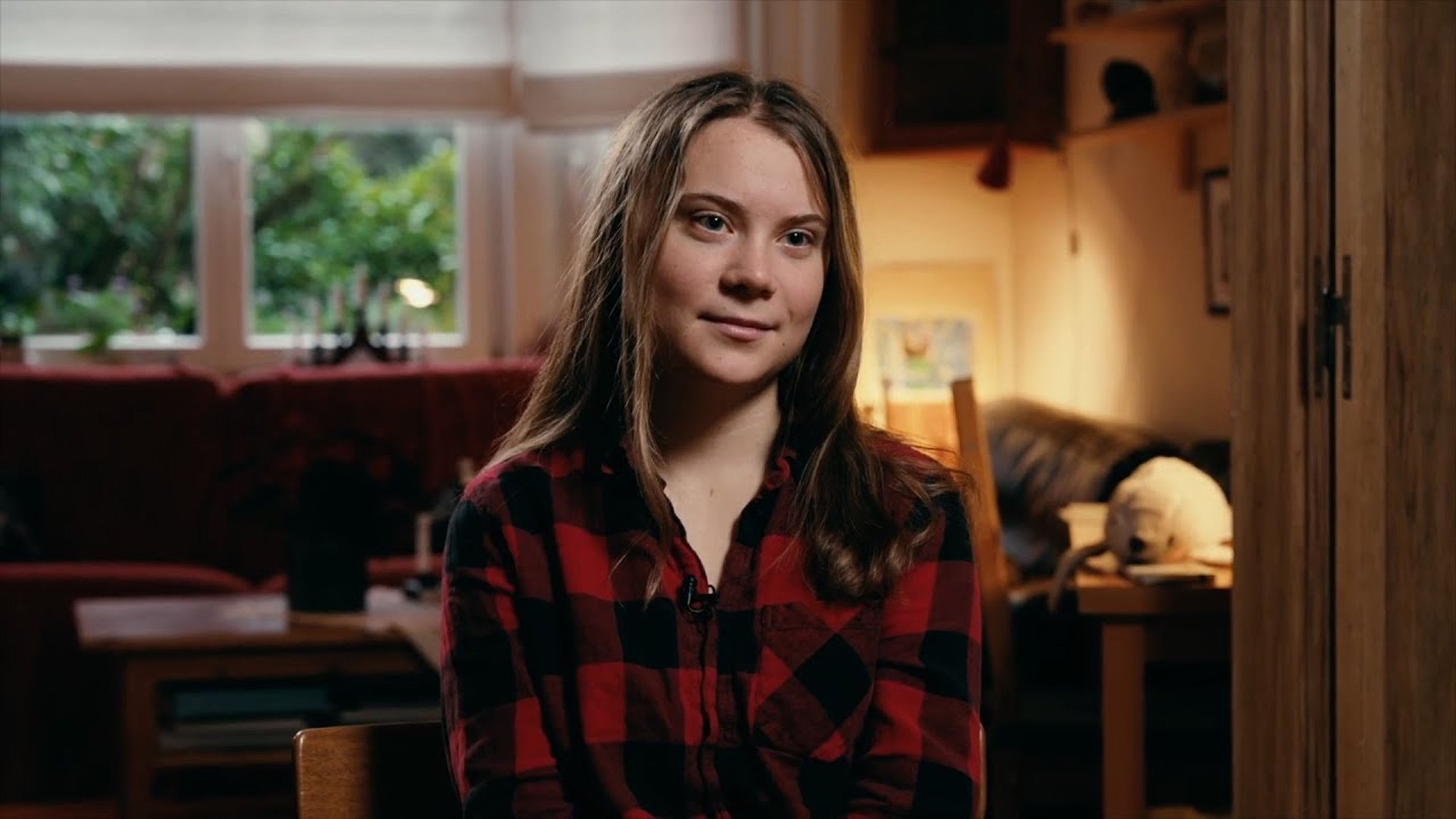 The Cost of Growth di Thomas Maddens