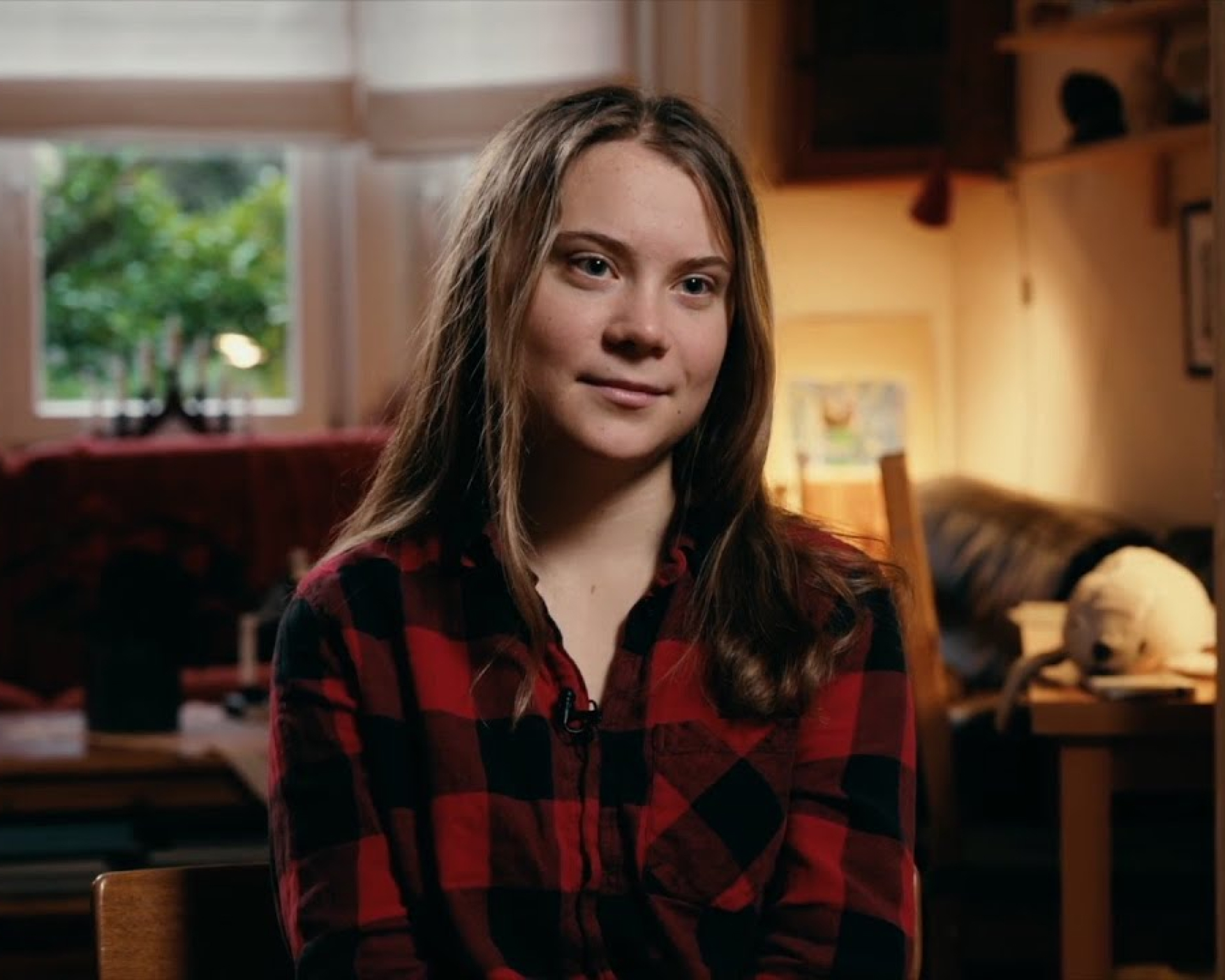 The Cost of Growth di Thomas Maddens