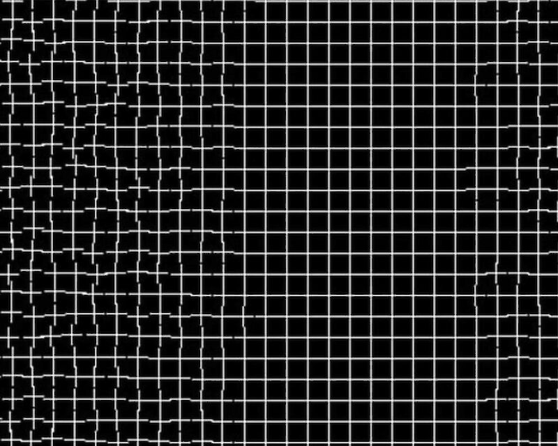 Night: e se ci entrassi dentro? w/ Claudia Catarzi, Hanne Lippard, & Renato Grieco, Black History Month