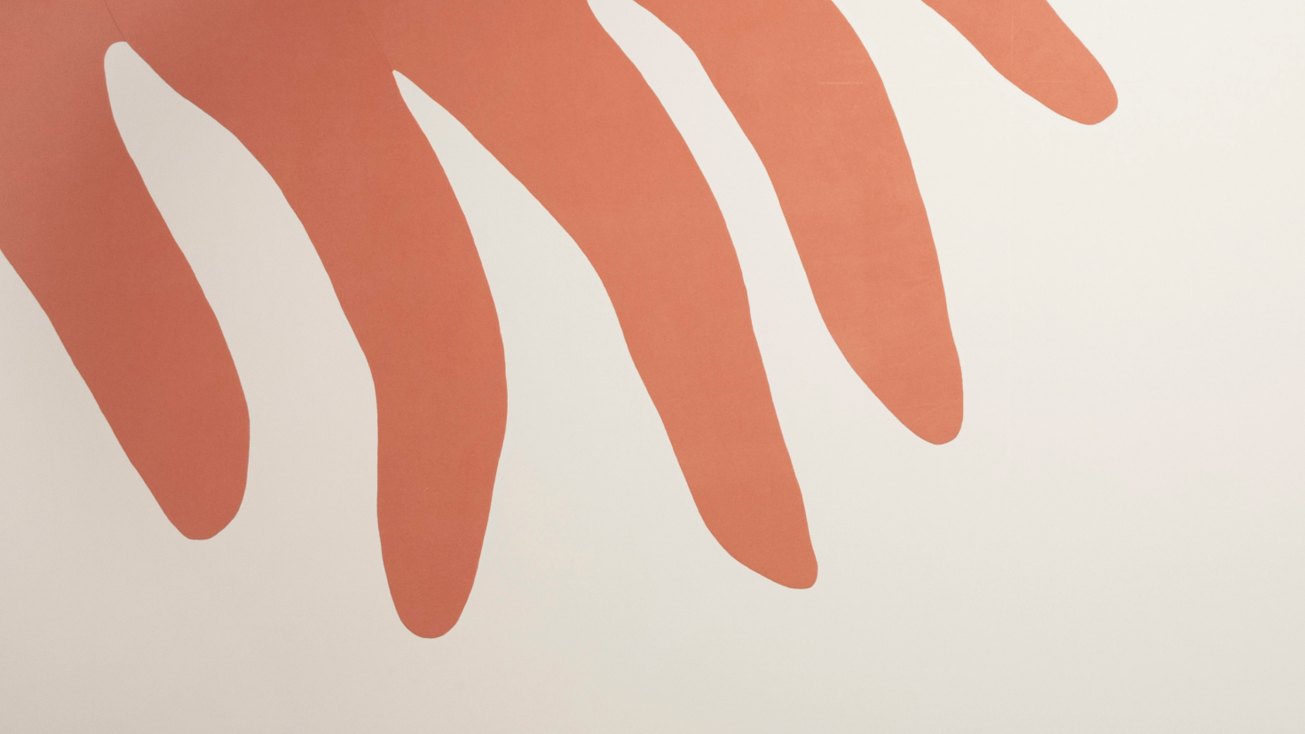 Adelaide Cioni. La grande mano (2023)