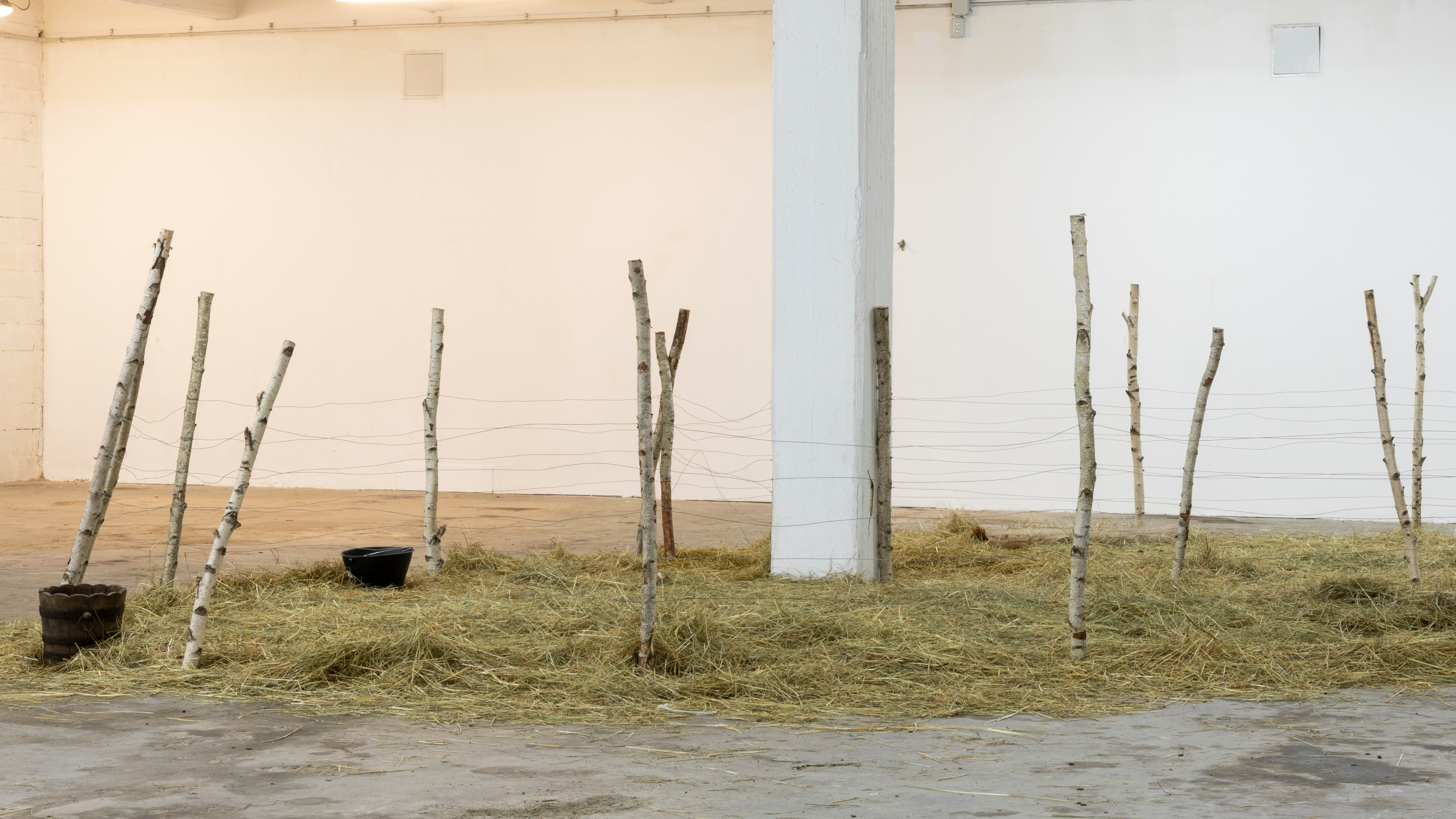 Alex Ayed, Untitled (fence), 2021 Birch wood, hay, metal cable. Variable dimensions. Transumanza, ZERO…, Milan, 2021. Photo: Roberto Marossi