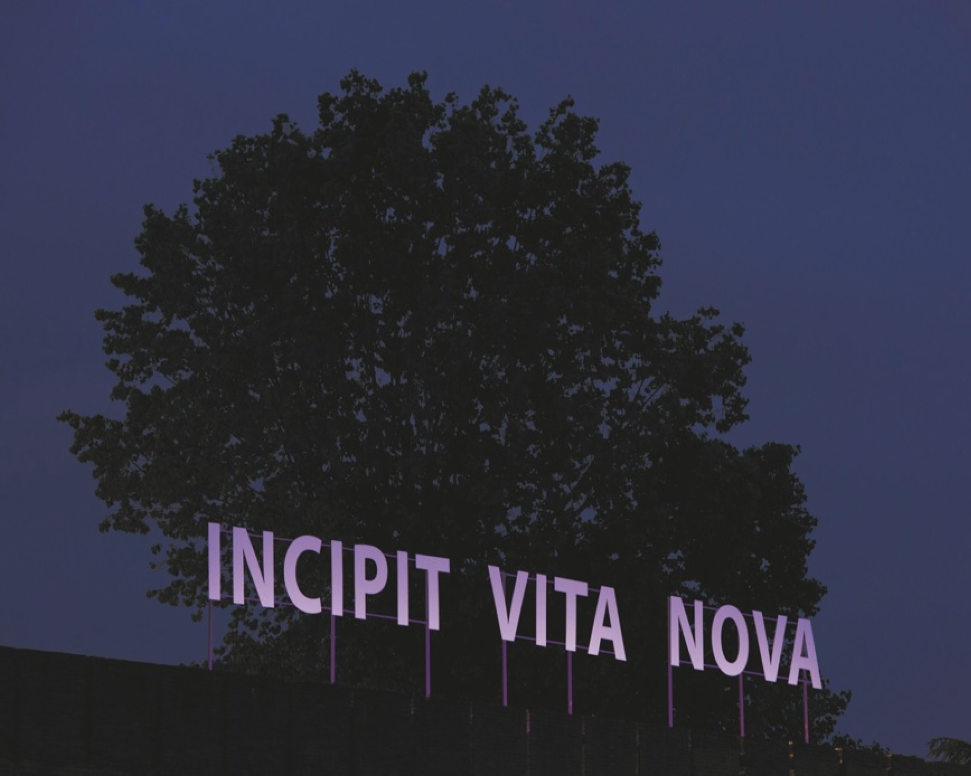 Vittorio Corsini, Incipit Vita Nova, 2013