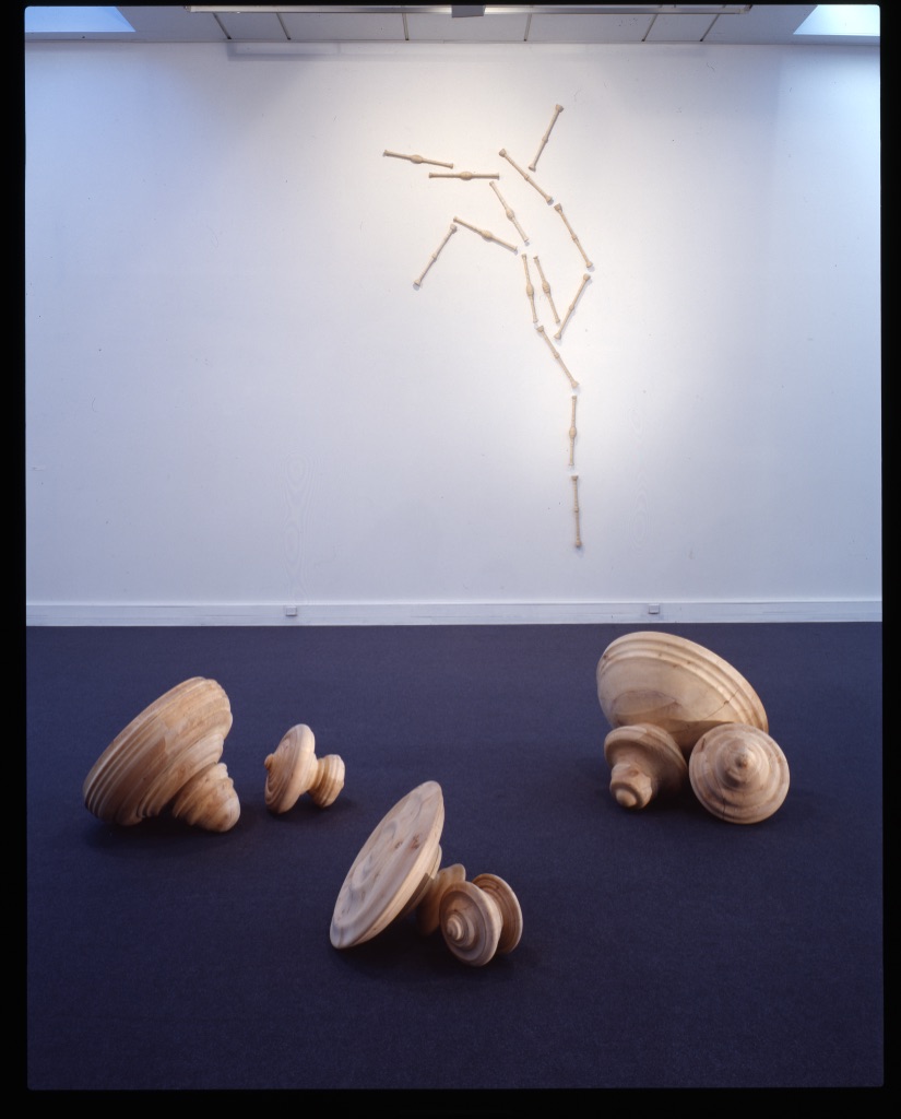 Una scena emergente. Fotografia di allestimento 11