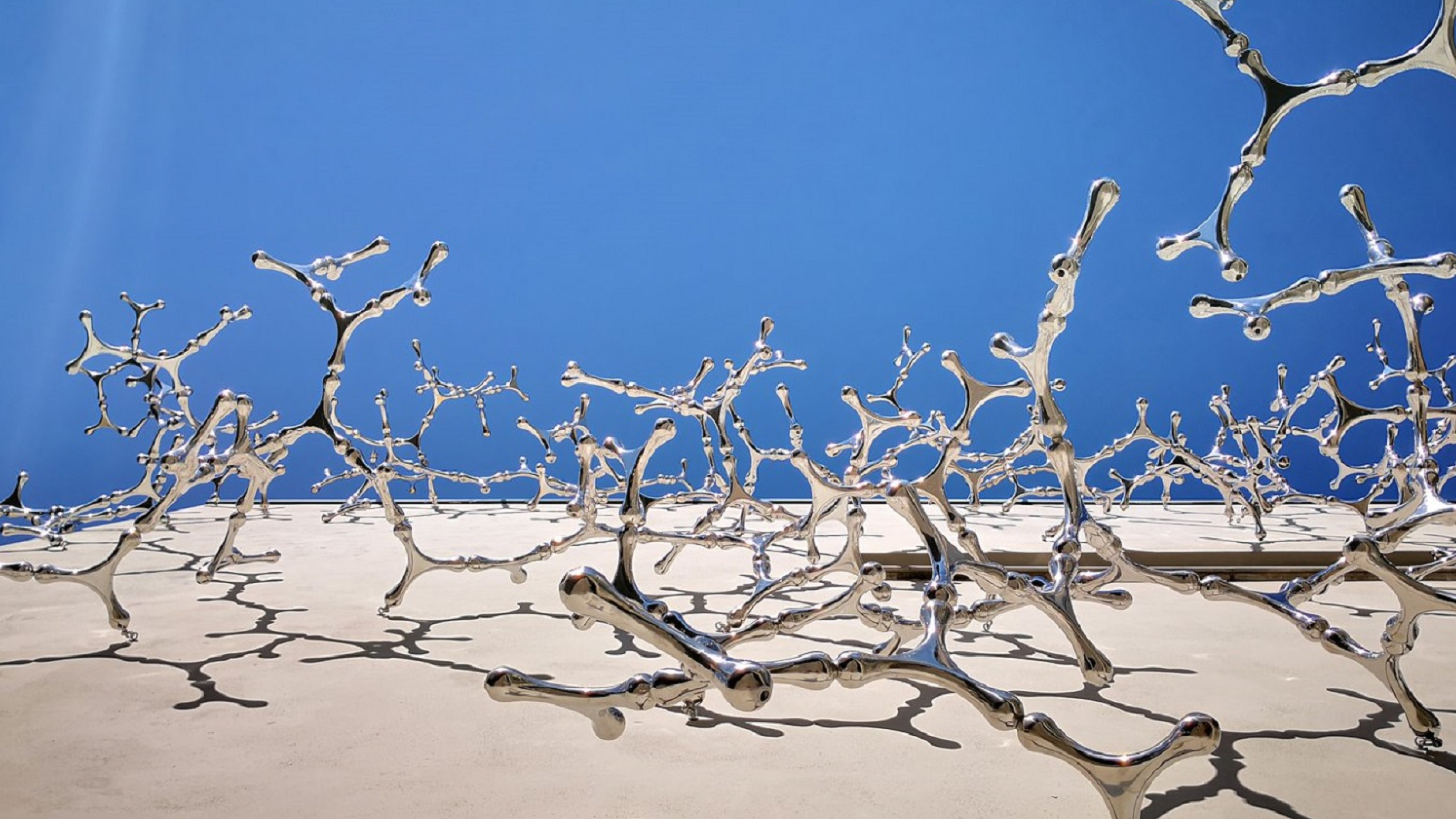 Loris Cecchini, Waterbones, 2018 Installazione permanente, Biblioteca Lazzerini, Prato Collezione Comune di Prato, acquisita in occasione del trentesimo anniversario del Centro per l’arte contemporanea Luigi Pecci (1988–2018)