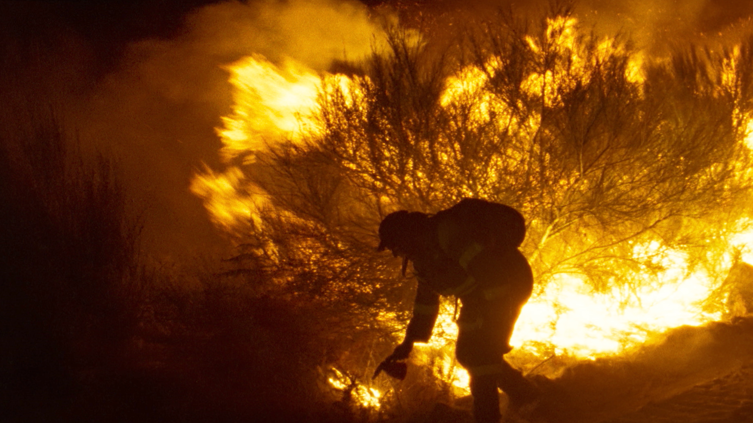 O que arde - Verrà il fuoco di Oliver Laxe