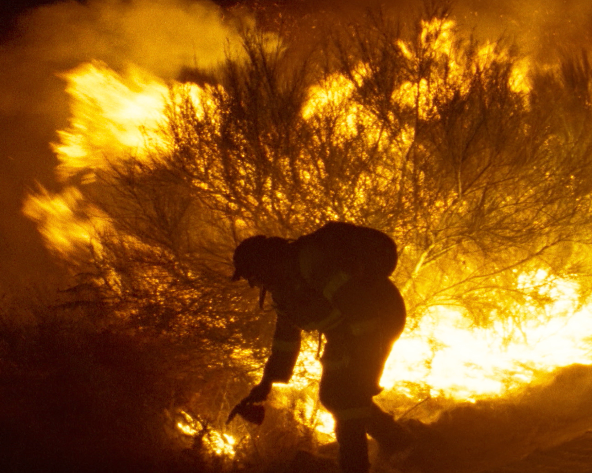 O que arde - Verrà il fuoco di Oliver Laxe