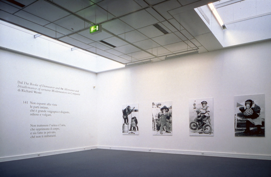 Fotografie di allestimento Small Medium Large. Lifesize 2