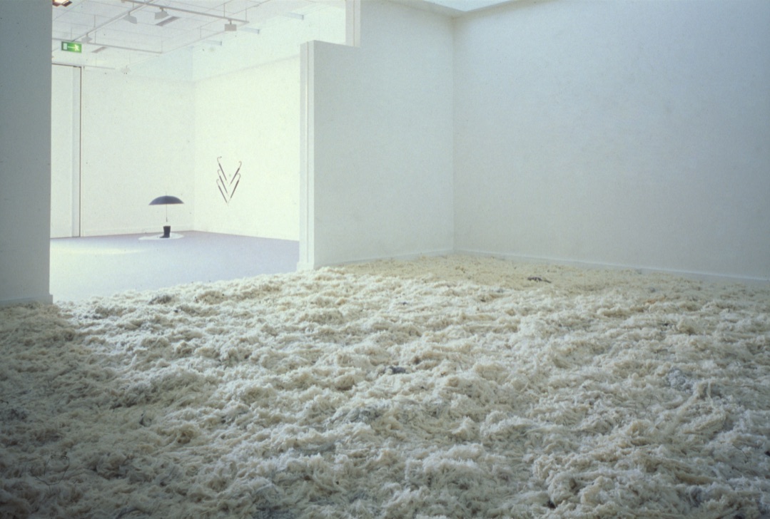 Fotografie di allestimento Small Medium Large. Lifesize 5