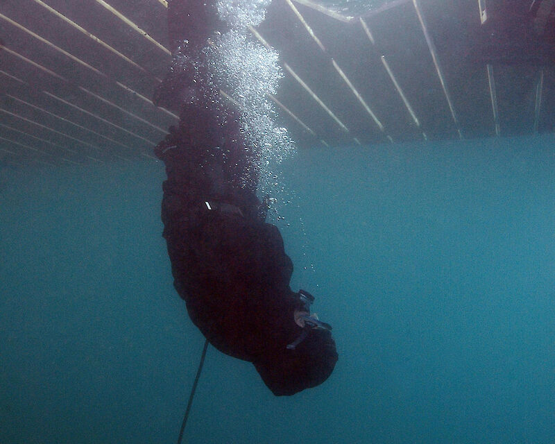 Michael Fliri, 0O°°°oo0Oo°O0, 2010