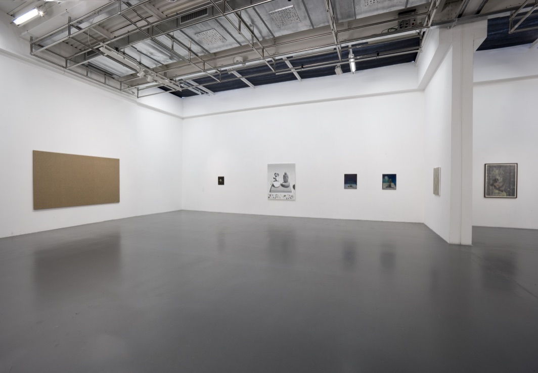 La figurazione inevitabile. Una scena della pittura oggi, fotografie di allestimento, 2013