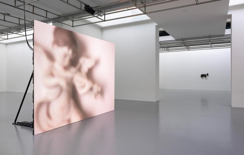 Diego Marcon. Glassa, vedute di allestimento, 2023, ph. Andrea Rossetti