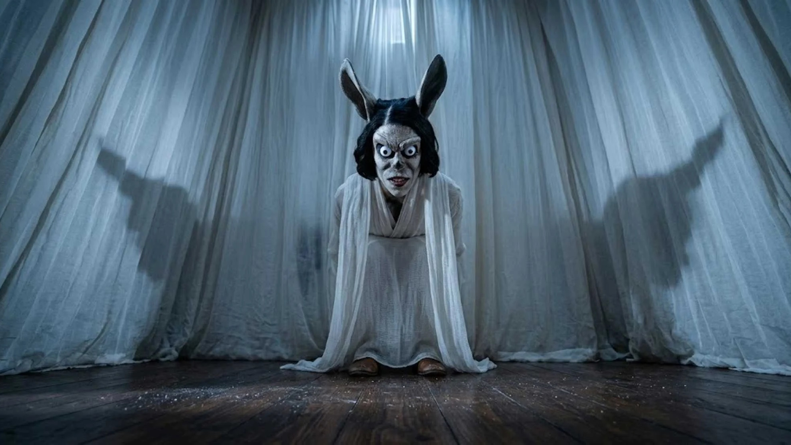 Hokum di Damian McCarthy