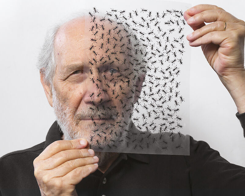 Emilio Isgrò